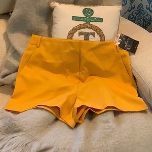 🌺NWT Forever 21 Dress Shorts.🌺